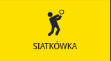 Siatkówka